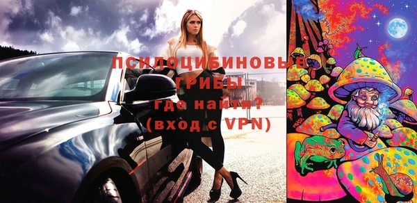 apvp Михайлов