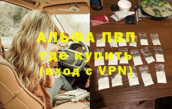 гашик Лабытнанги